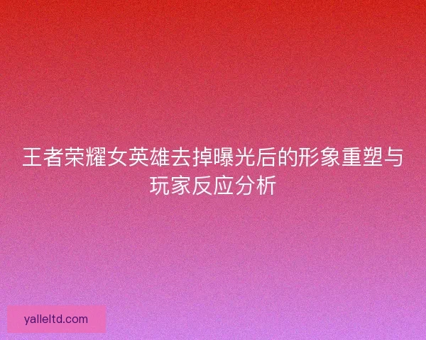 王者荣耀女英雄去掉曝光后的形象重塑与玩家反应分析