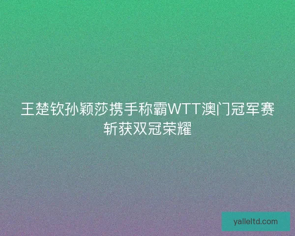 王楚钦孙颖莎携手称霸WTT澳门冠军赛斩获双冠荣耀 王楚钦孙颖莎携手称霸WTT澳门冠军赛斩获双冠荣耀
